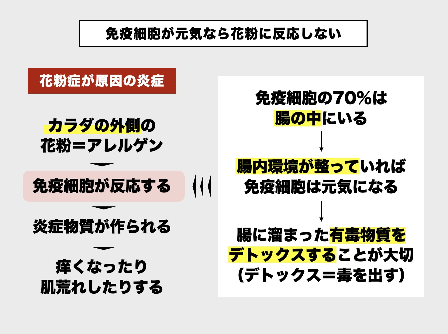 更年期の花粉対策では腸活デトックスが必要だと説明している画像