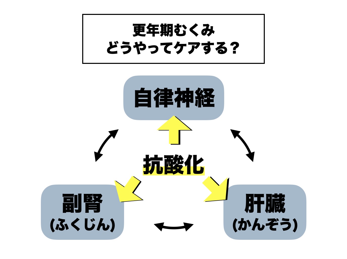 更年期のむくみやすい原因は副腎疲労が関わっていることを説明しているイメージ