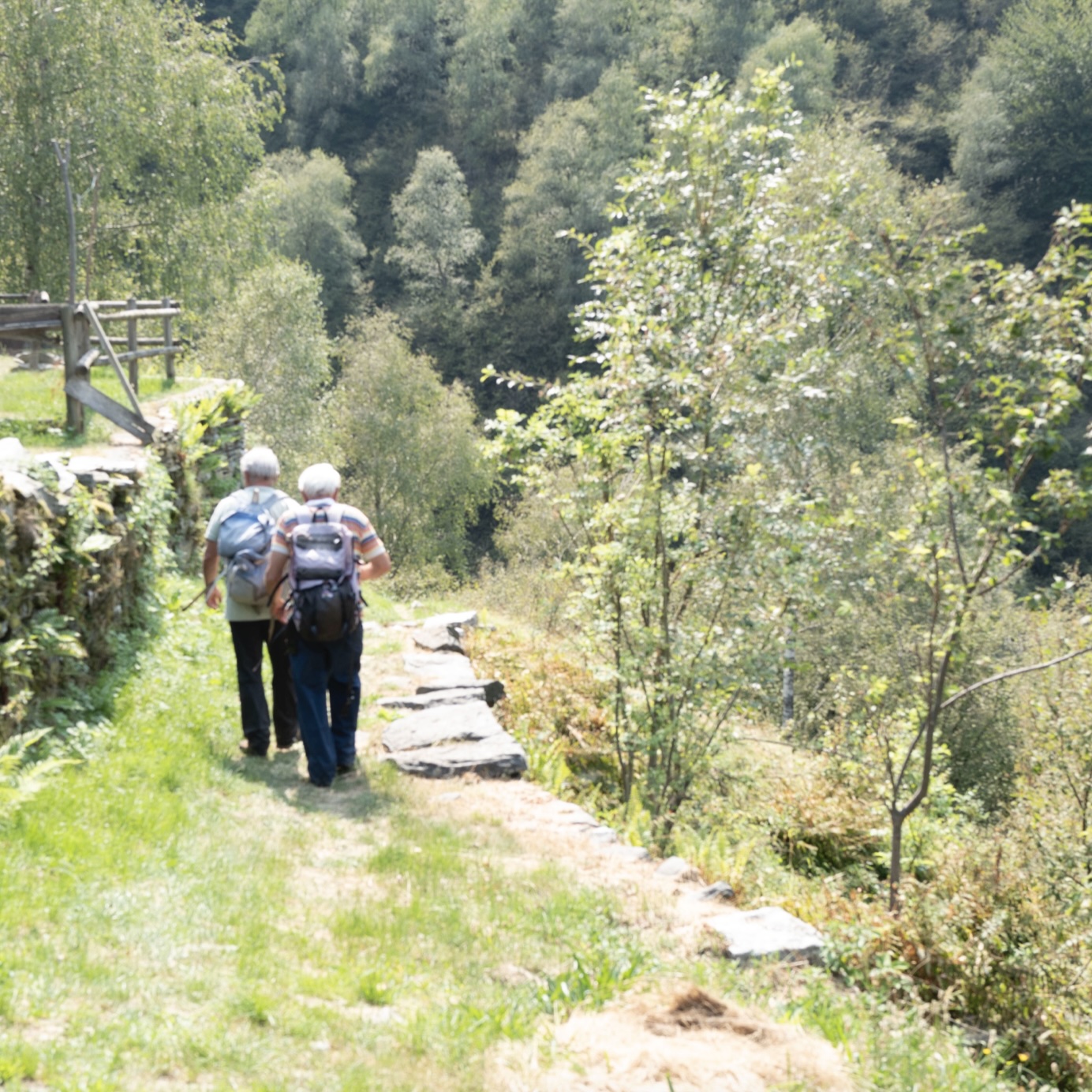 「習慣水」の生産地イタリアのエミリア・ロマーニャ州の山を歩いている