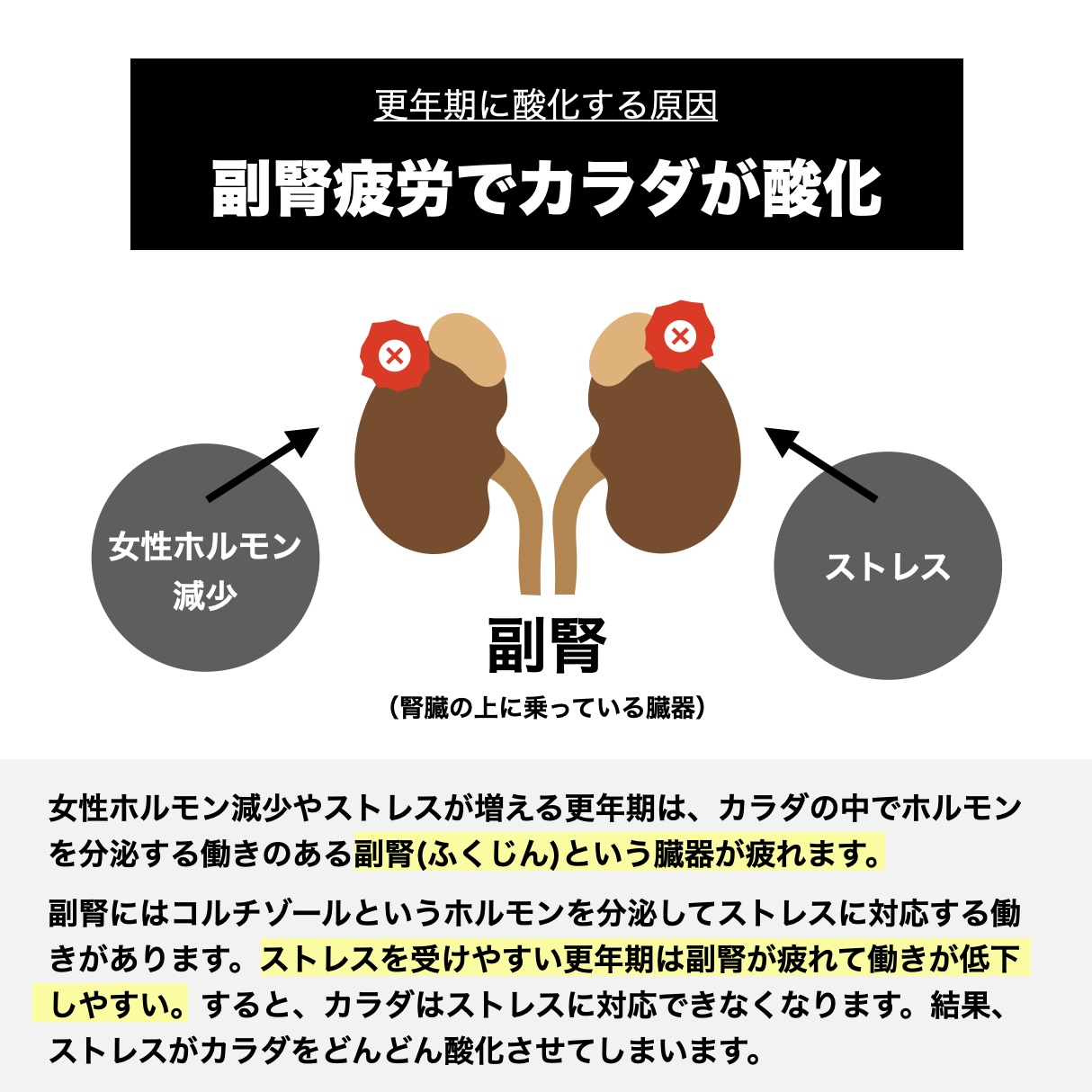 更年期に酸化する原因は副腎が錆びつき酸化していると説明 width=