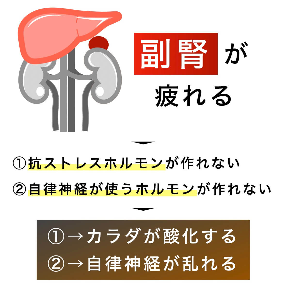 副腎が疲れるとどうなるか説明している図