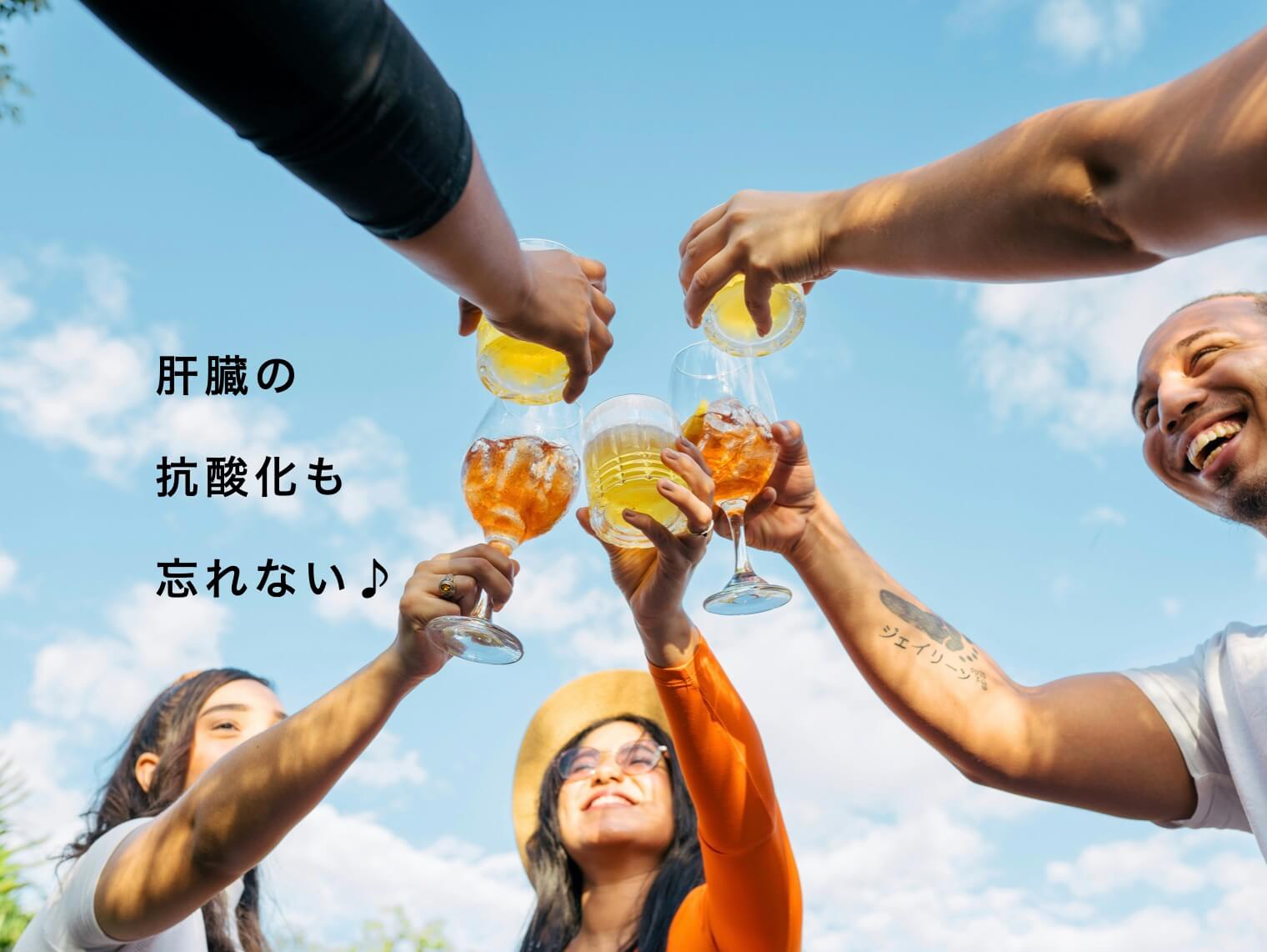 お酒と肝臓の関係を示した写真