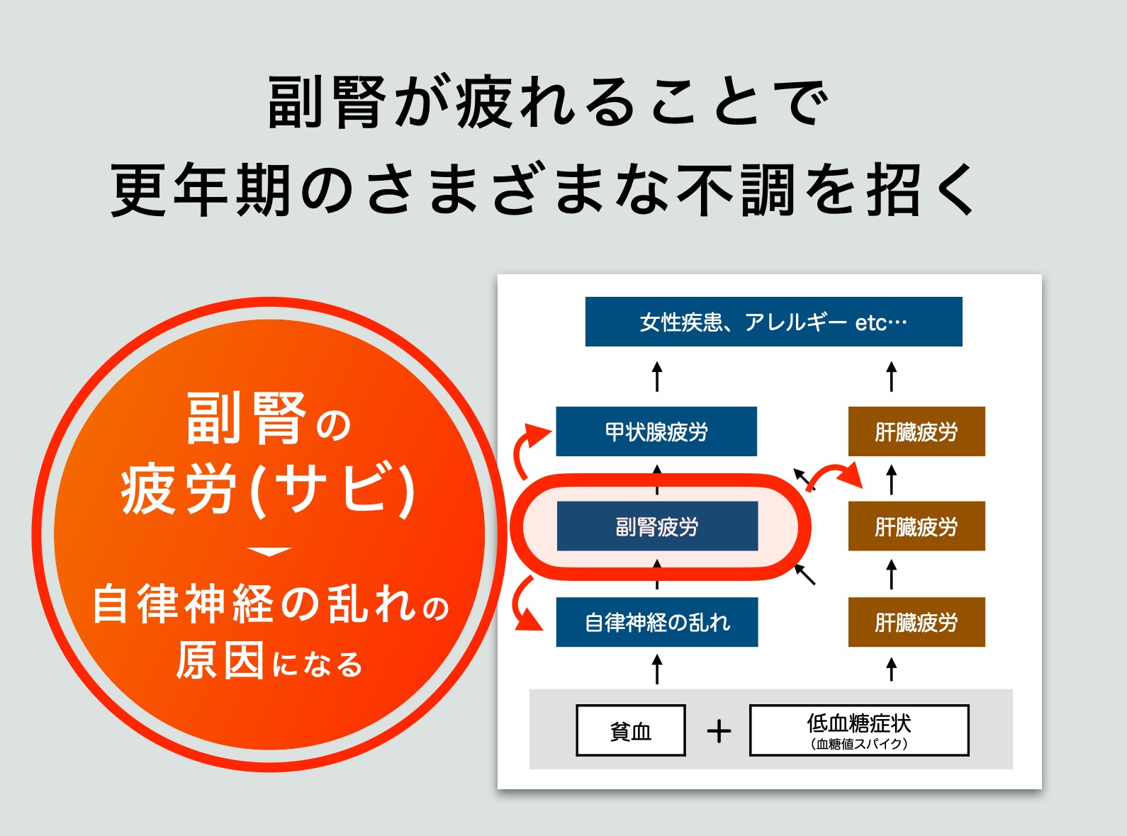 更年期の不調の原因を説明