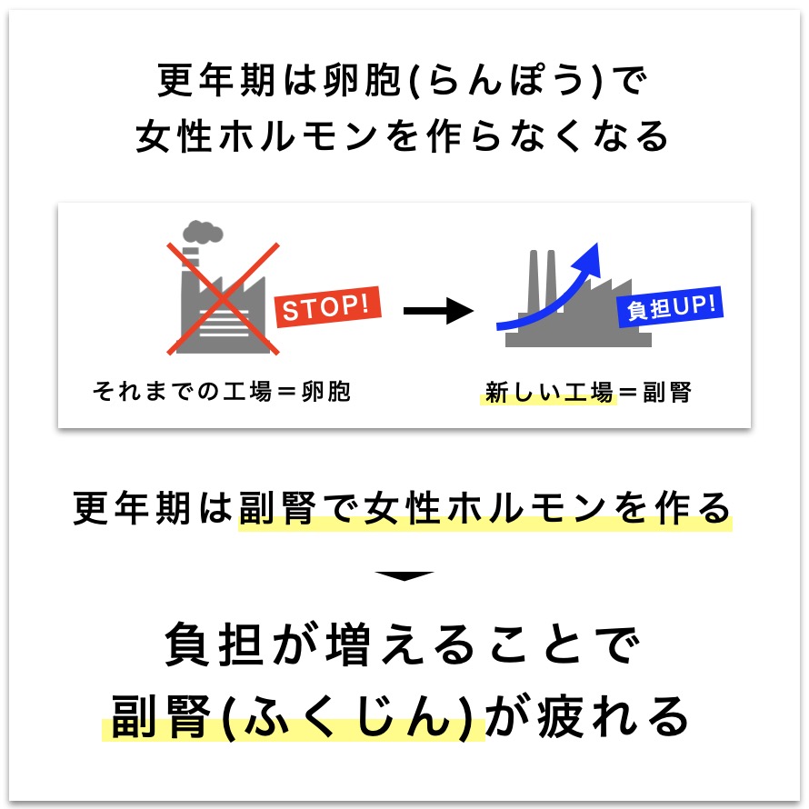 更年期は卵胞(らんぽう)で
女性ホルモンを作らなくなることを説明した図