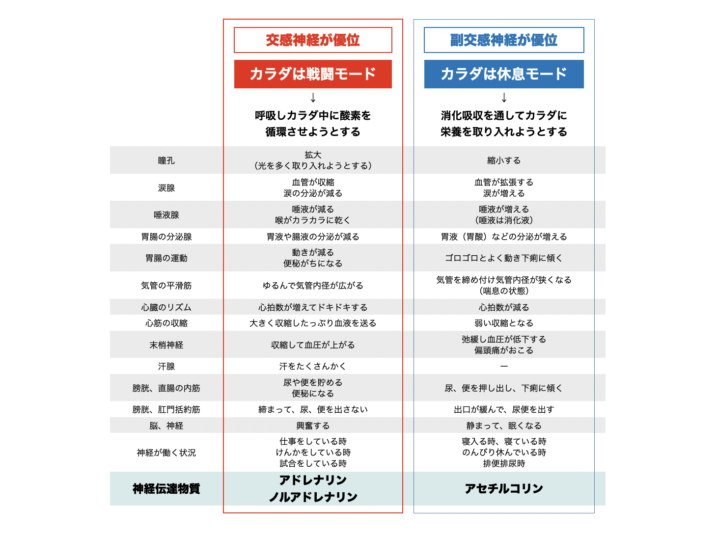 自律神経が乱れると起こるカラダの不調