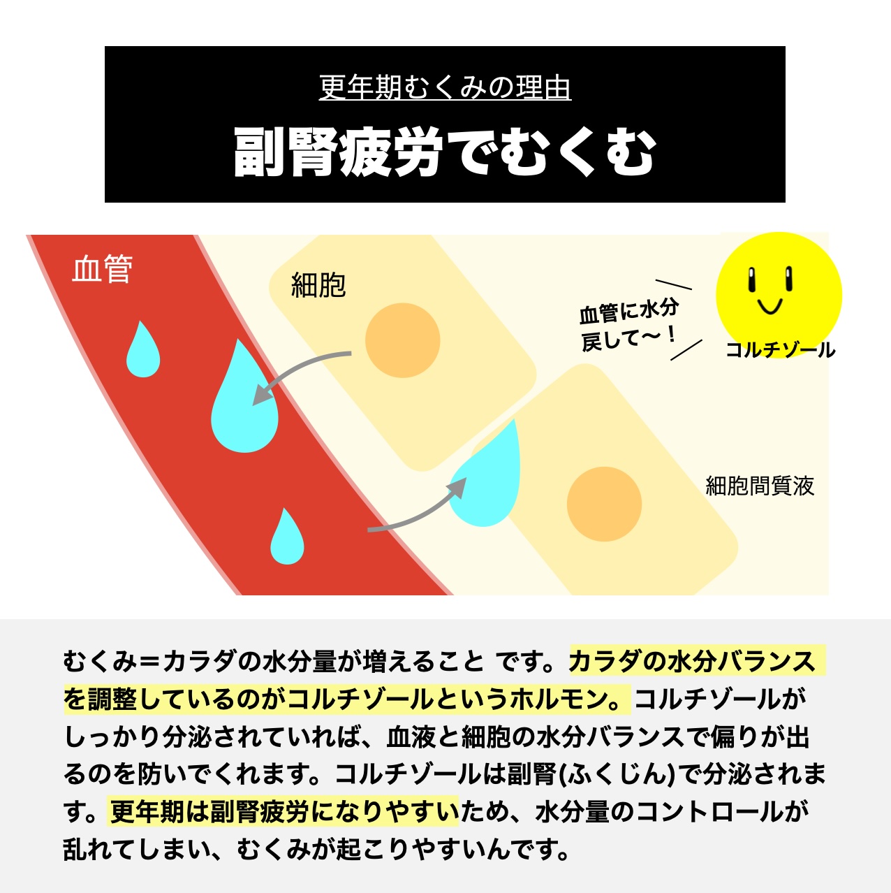 更年期にむくむ理由の一つに血行が副腎が疲労していることを説明