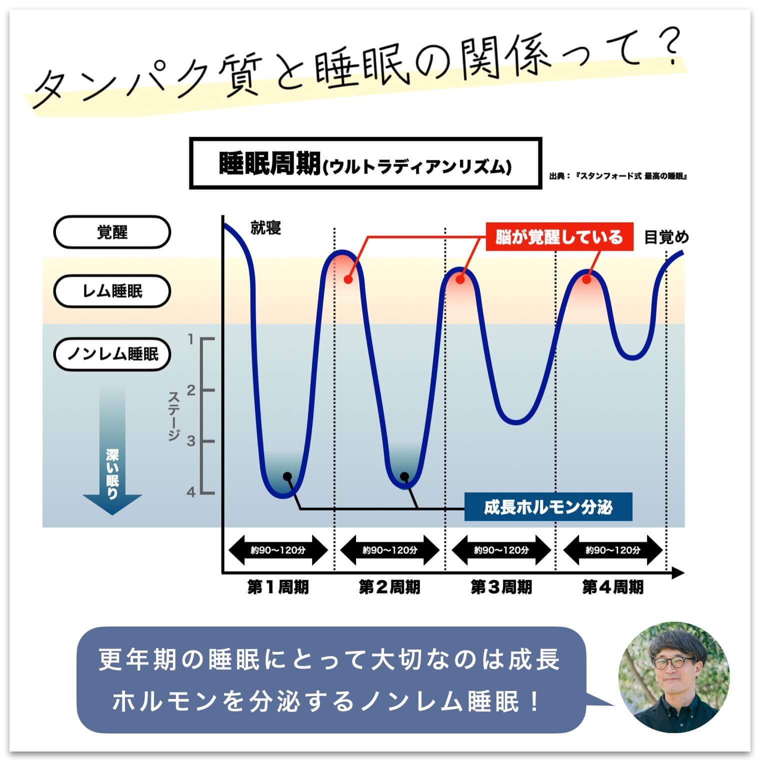 タンパク質と睡眠の関係