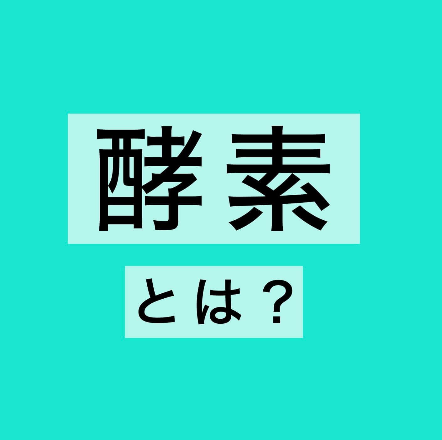 更年期キーワード「酵素」とは？