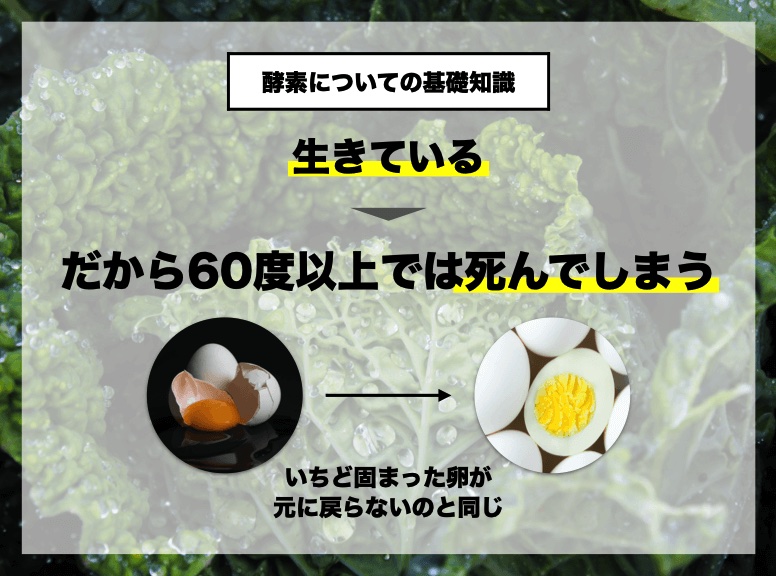 酵素は60度以上で不活性化