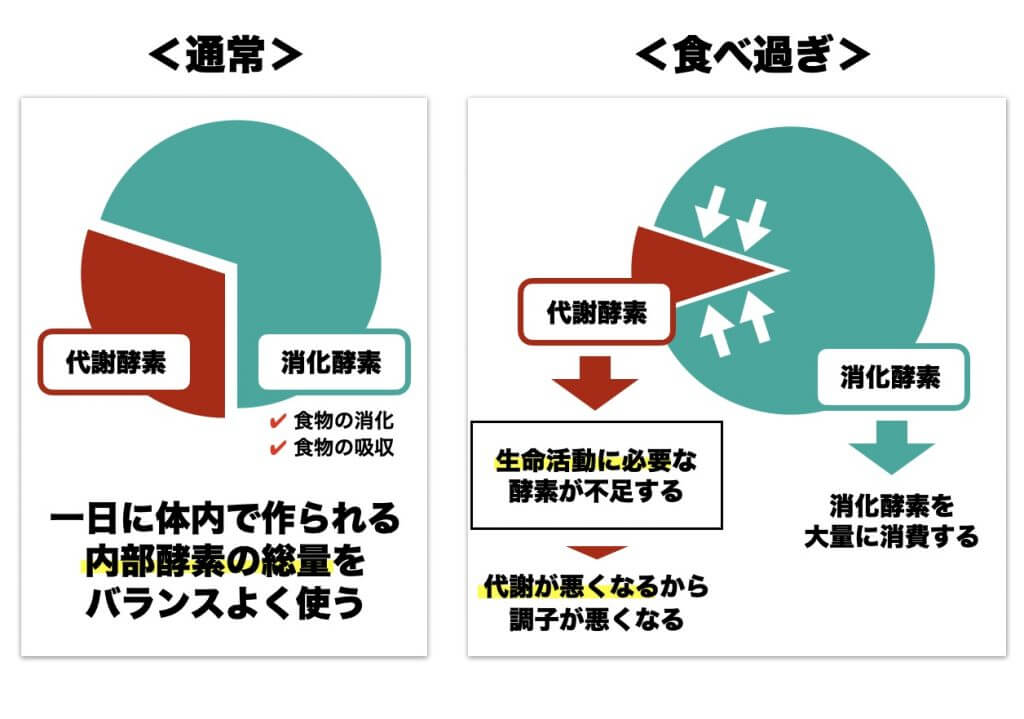 消化酵素と代謝酵素