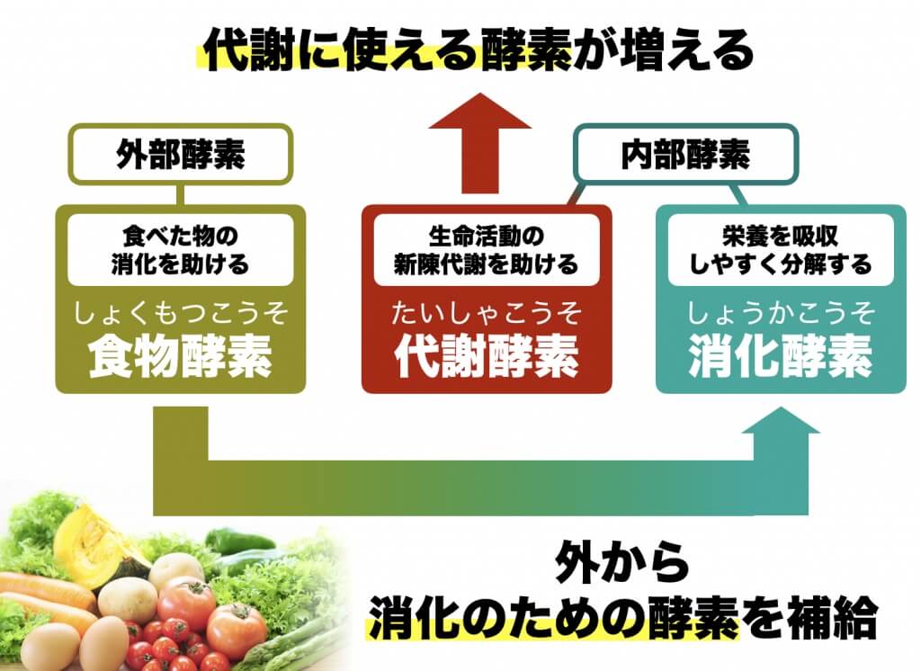 体外酵素は消化酵素