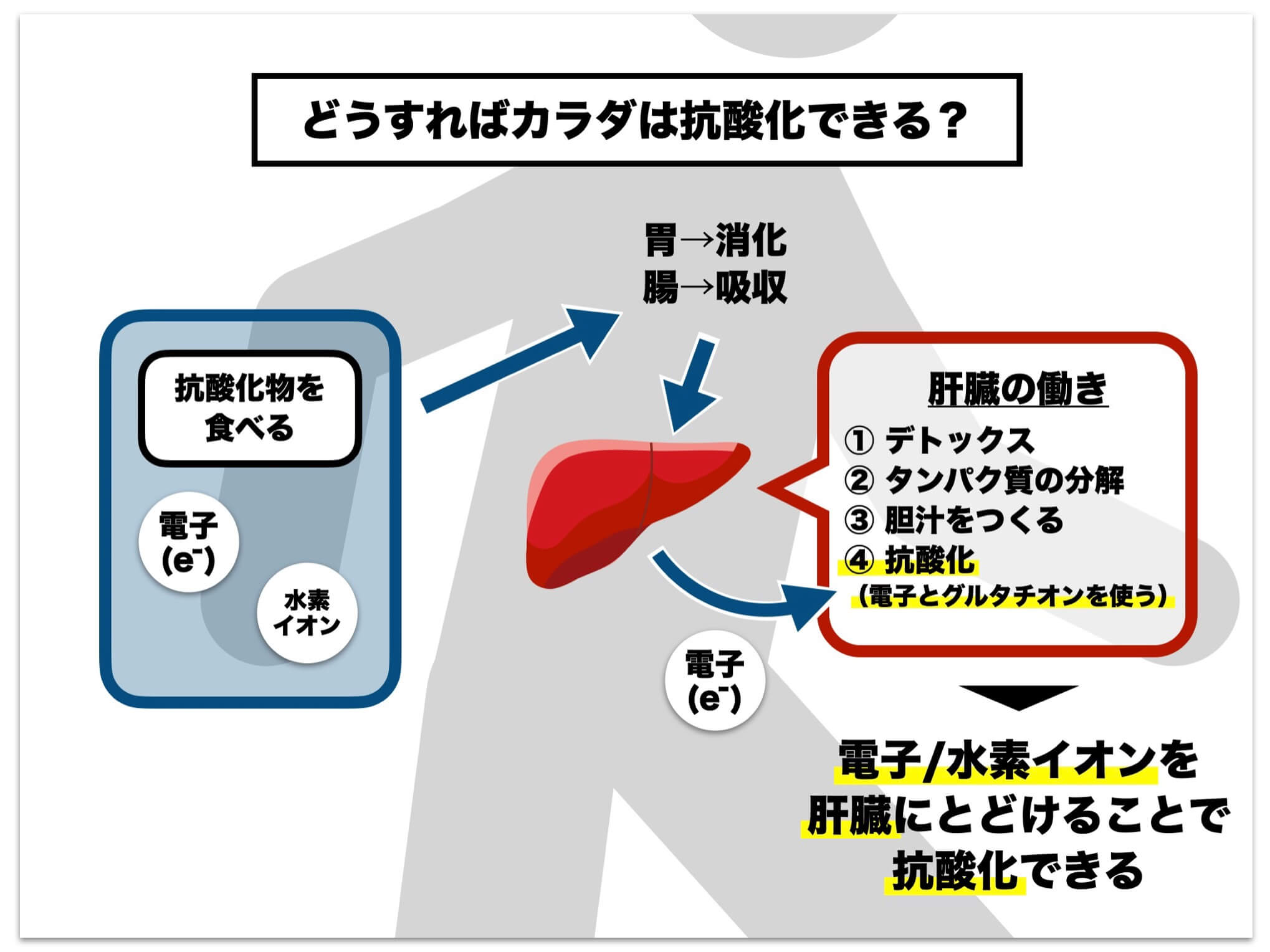 どうすればカラダを抗酸化できるか