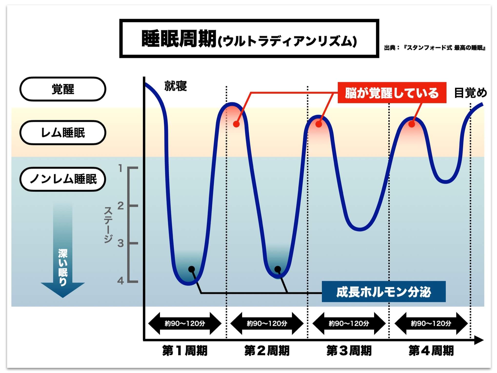 睡眠周期について説明