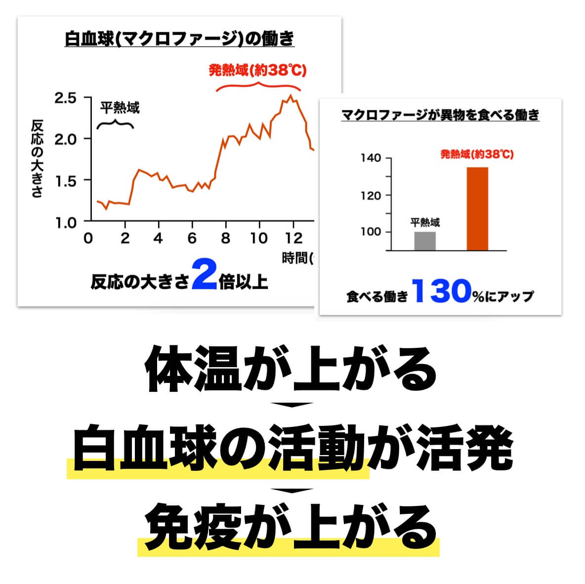 貧血対策で免疫力が上がる理由