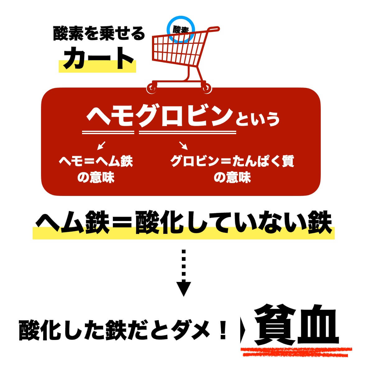 血液中のヘモグロビン不足は貧血になる