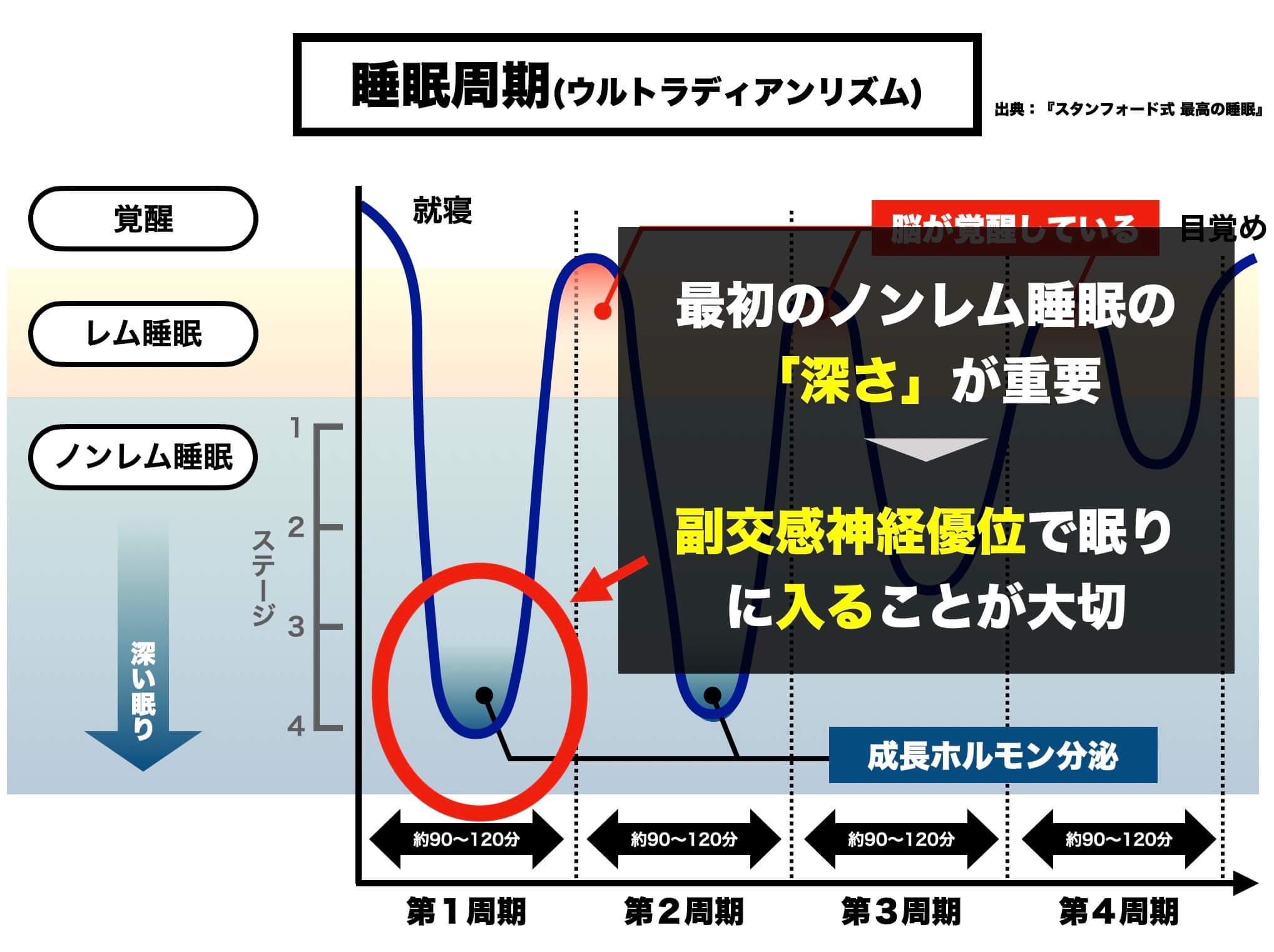 リラックスして寝るとどうカラダに良いかを説明している図
