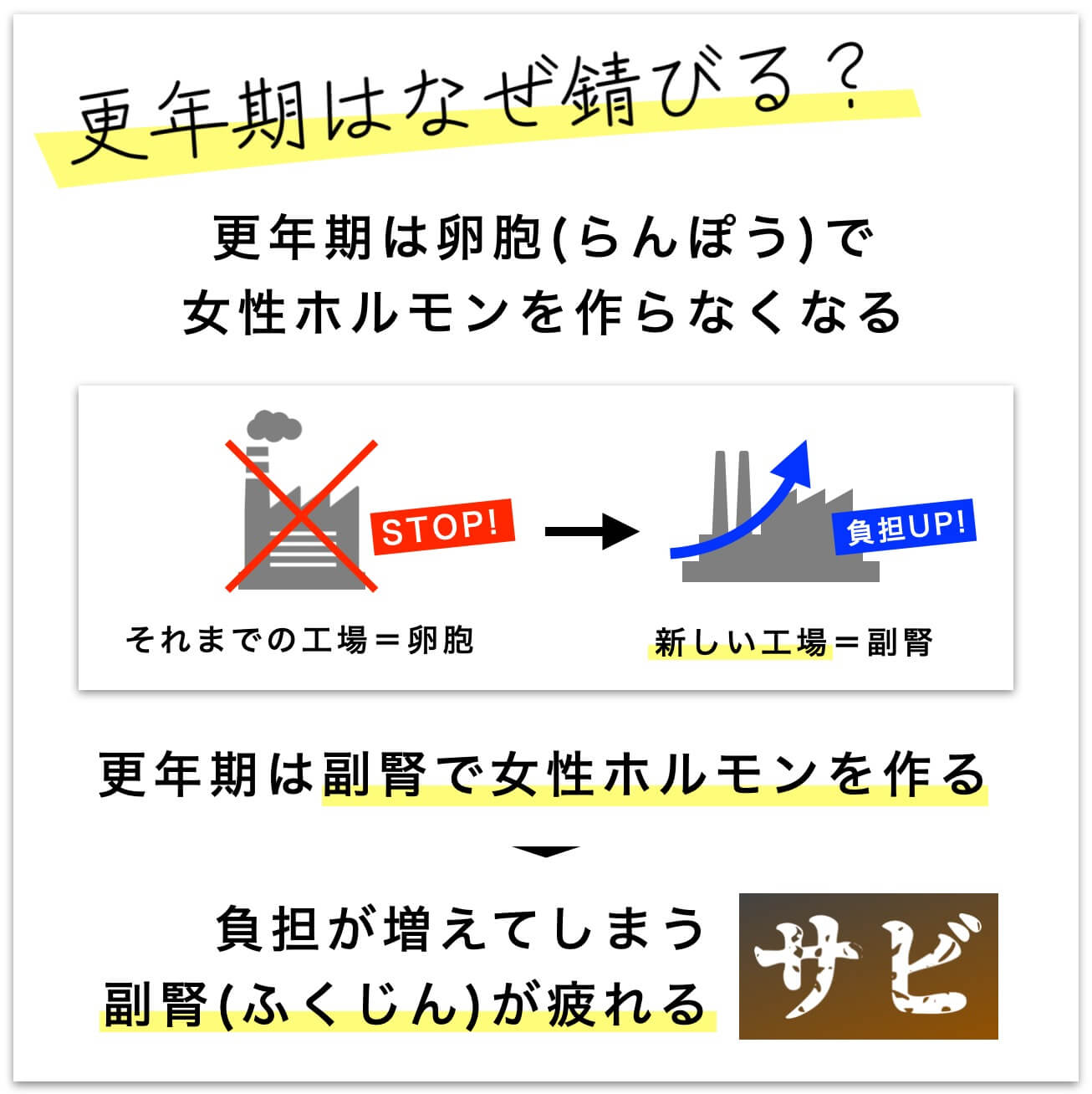 更年期は副腎で女性ホルモンを作るようになる