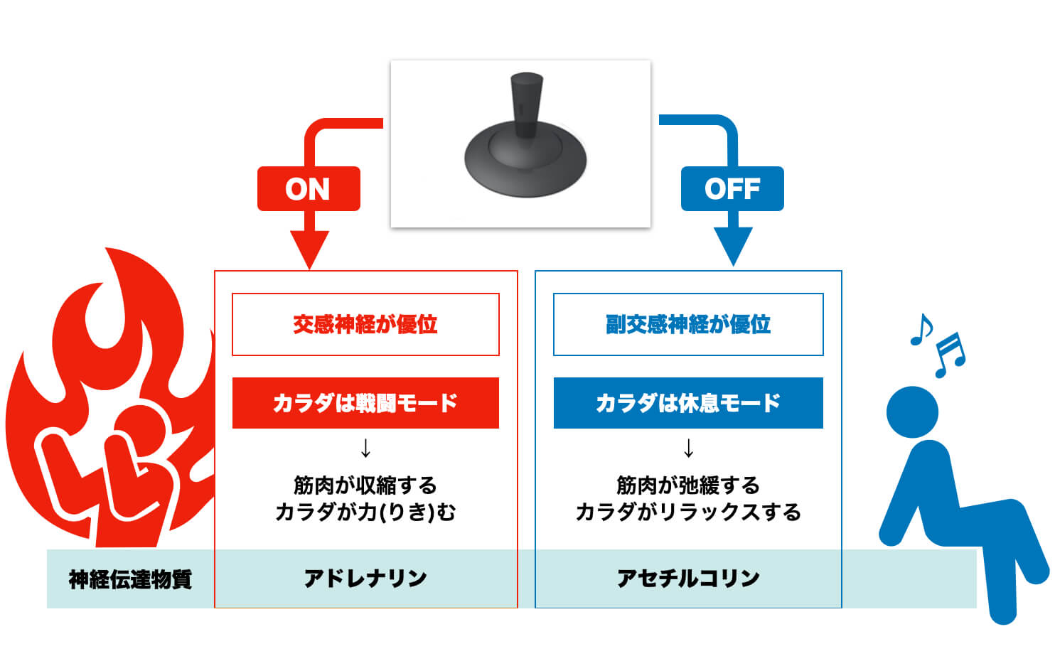 眼精疲労になる原因は自律神経の乱れだと説明