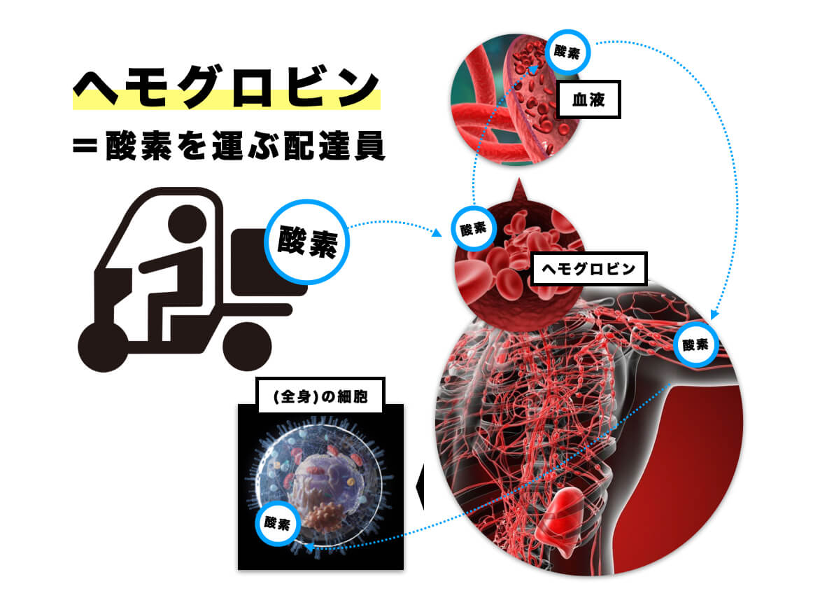貧血でヘモグロビン不足になると眼精疲労になる理由
