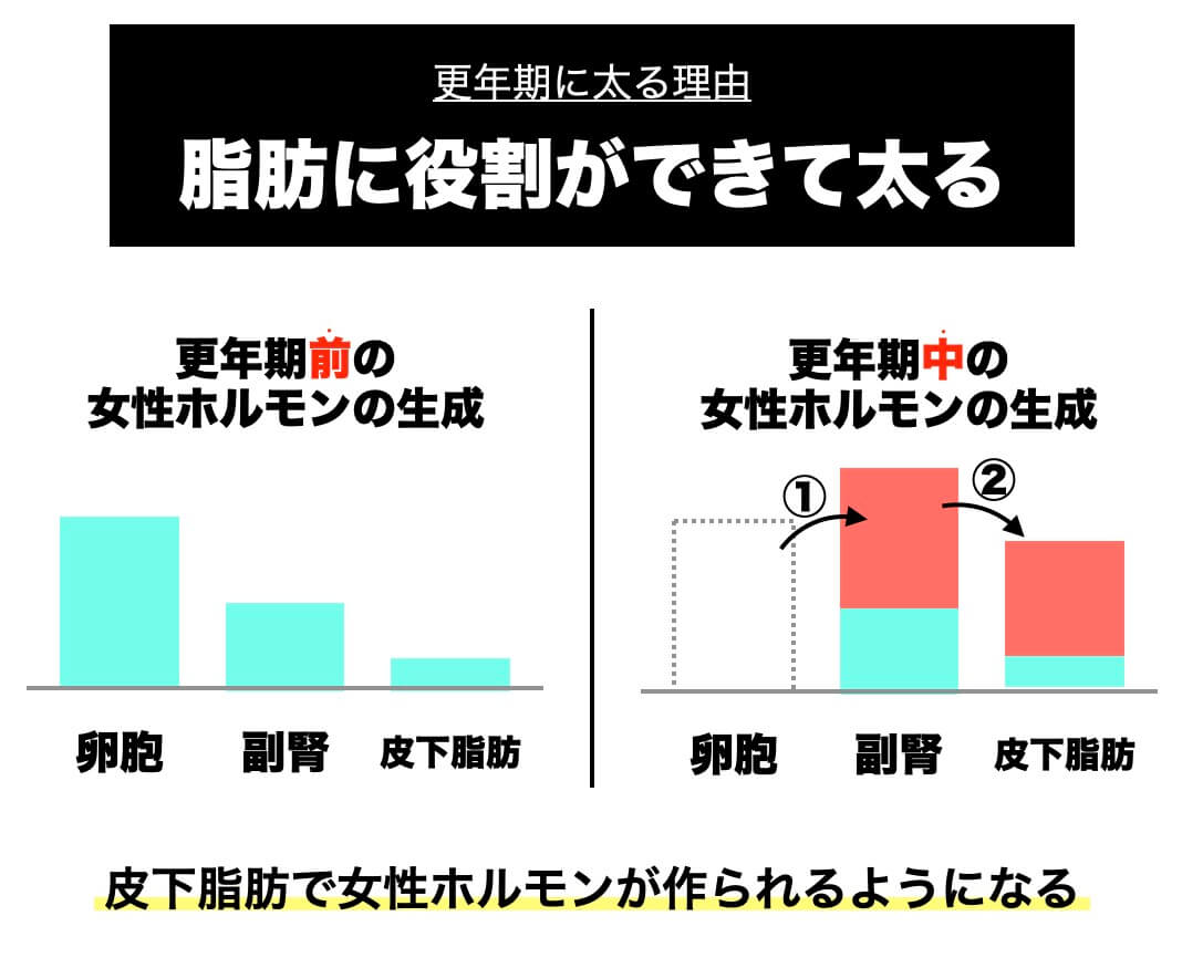 更年期と脂肪の関係を説明した図