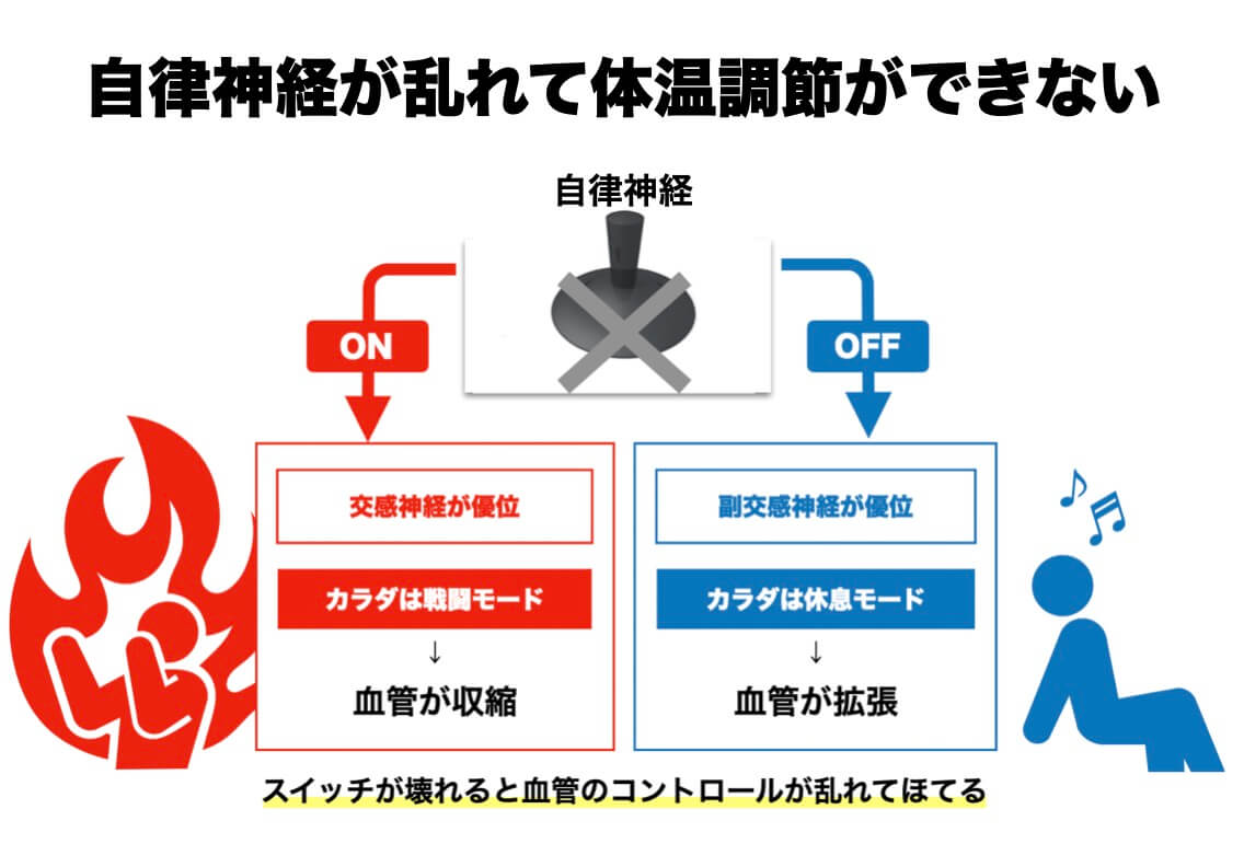 ほてりと自律神経の関係を説明した図