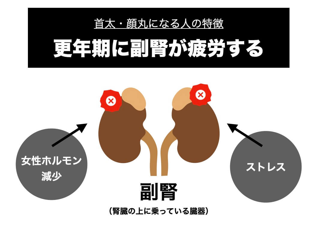 更年期に副腎が疲労する説明がされている図