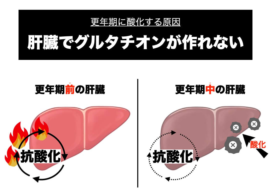 肝臓疲労と酸化の関係を説明した図
