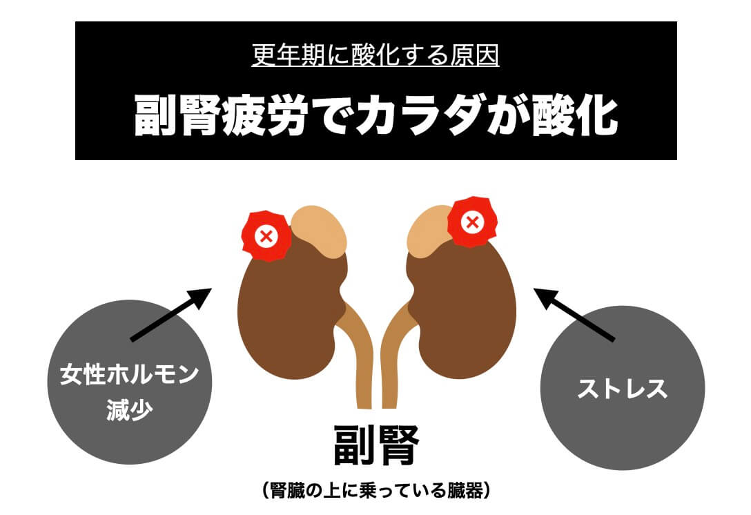 副腎疲労が酸化につながる理由を説明した図