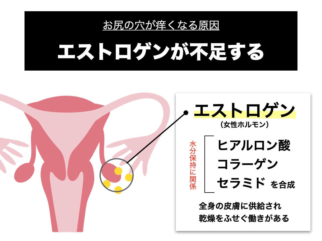 エストロゲンが不足するとどうなるかを説明した図