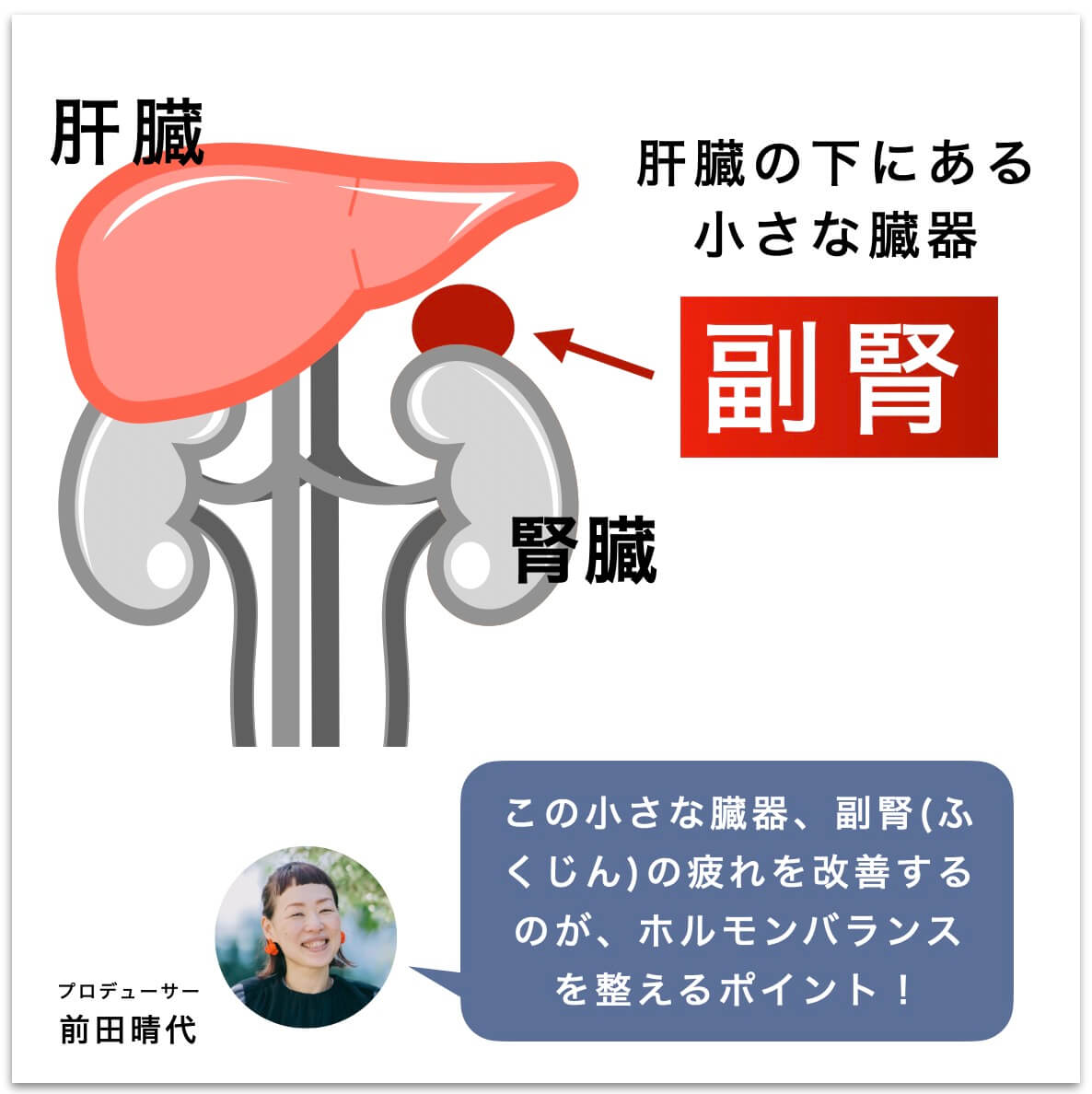 副腎疲労とホルモンのバランスの関係性