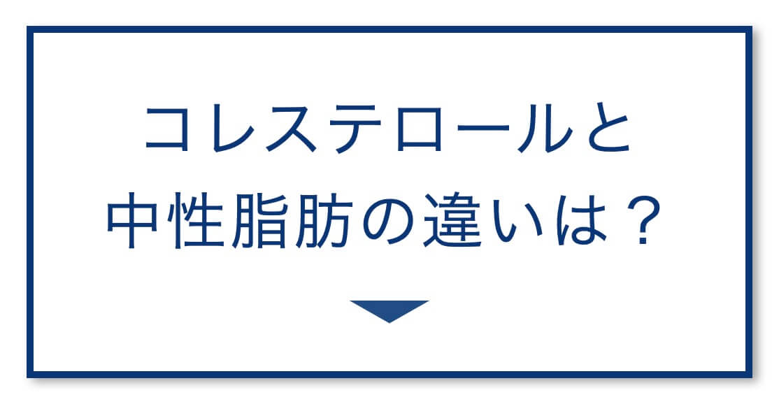 コレステロールと
中性脂肪の違いは？