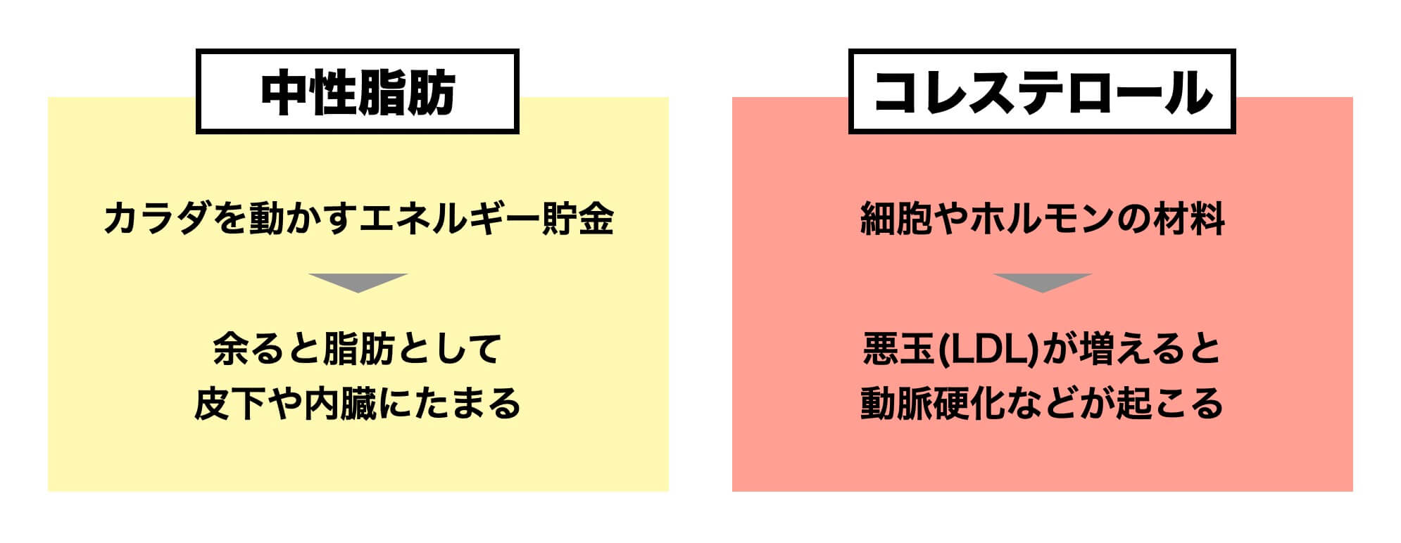中性脂肪とコレステロールの違いを説明している図