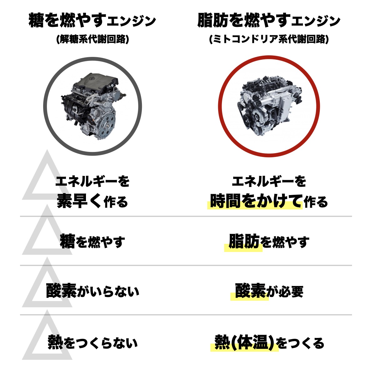 細胞でエネルギーを作る２つのエンジンの比較