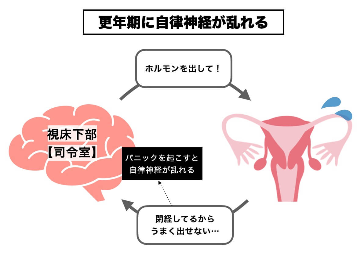 （図説）更年期に自律神経が乱れる
