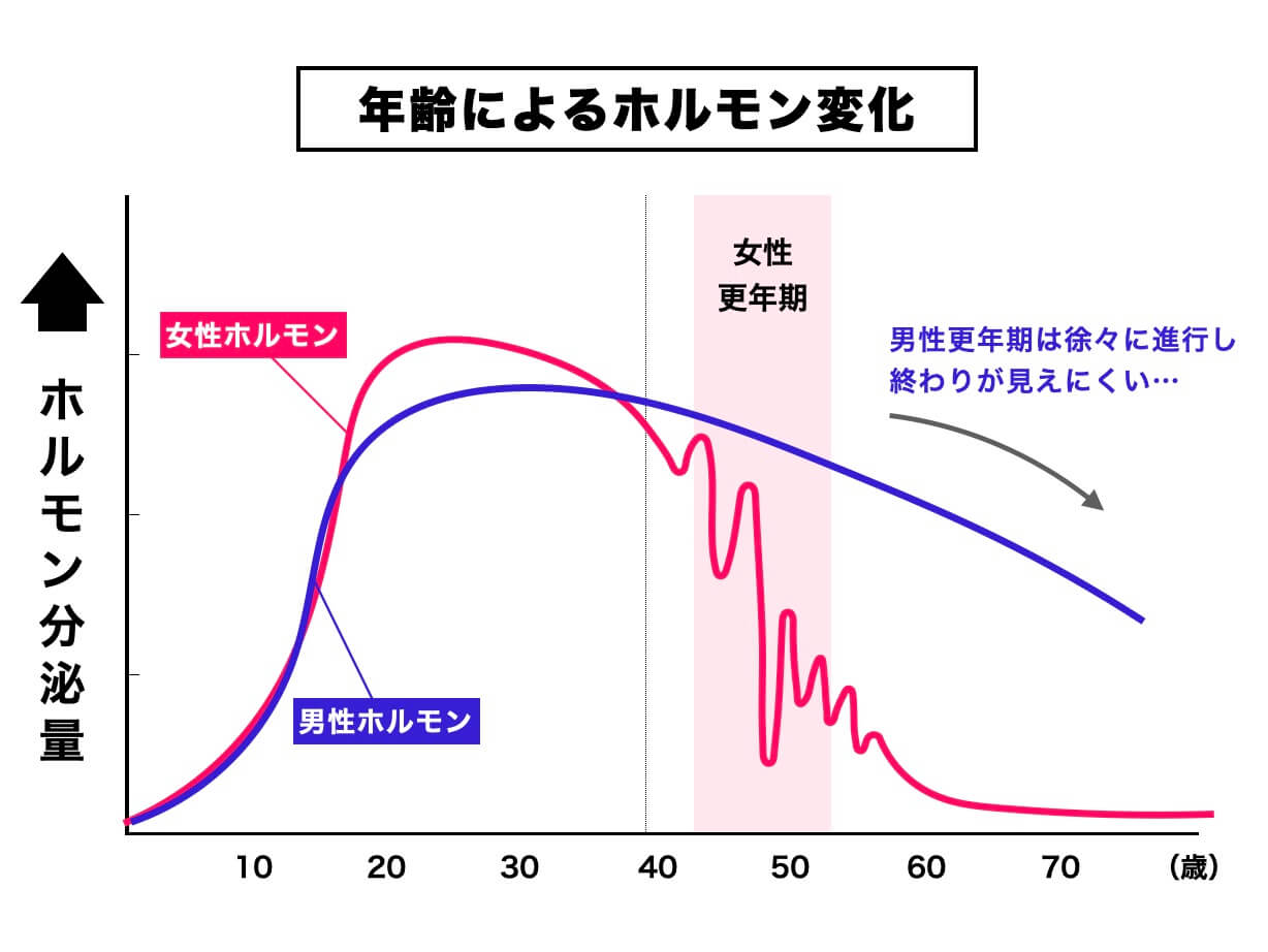 年齢とホルモン分泌量の関係を示した図