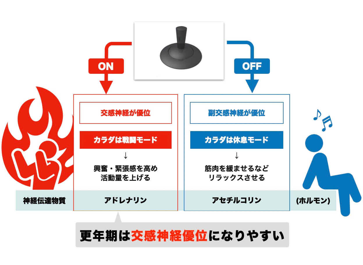 （図解）更年期は交感神経優位になりやすい