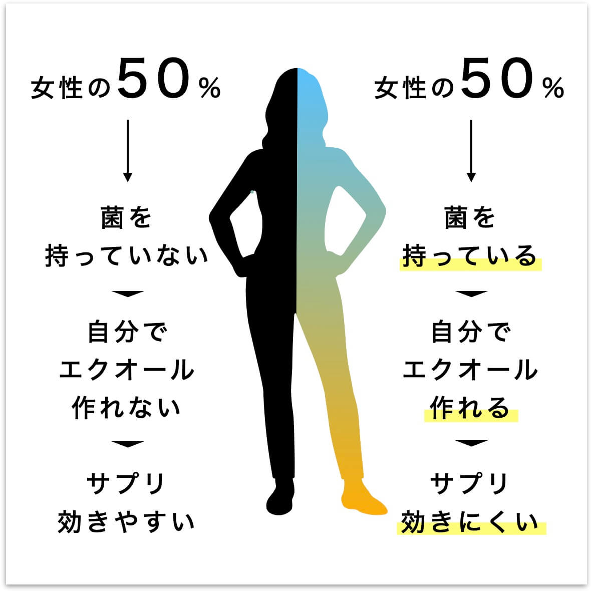 エクオールと命の母は向き不向きがある