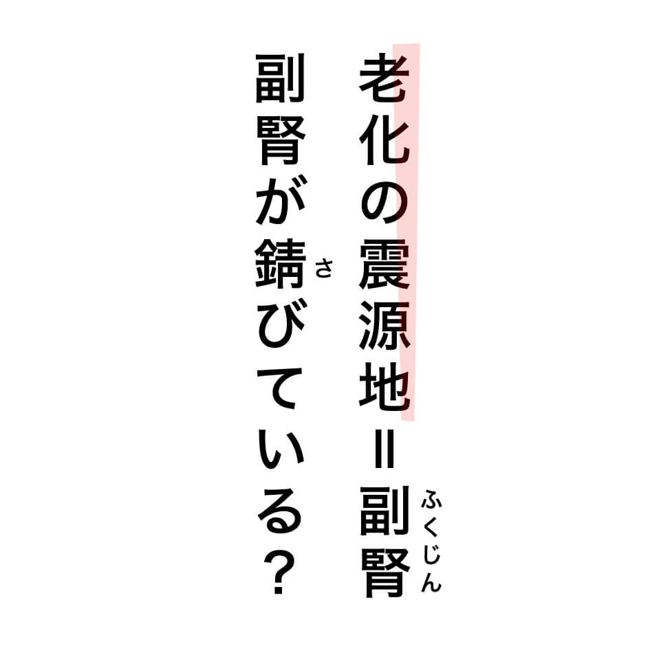 副腎が錆びているのが原因