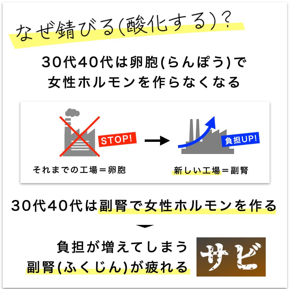 更年期は副腎で女性ホルモンを作るようになる