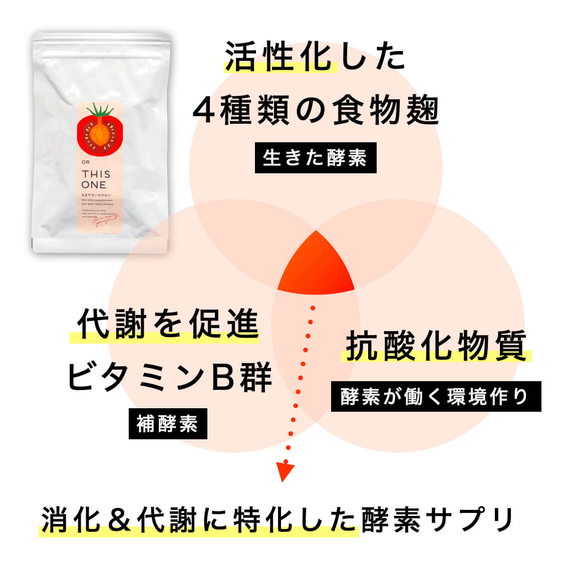 酵素消化サプリ なまやさいのかわり定期便 |《公式》更年期専門店オア