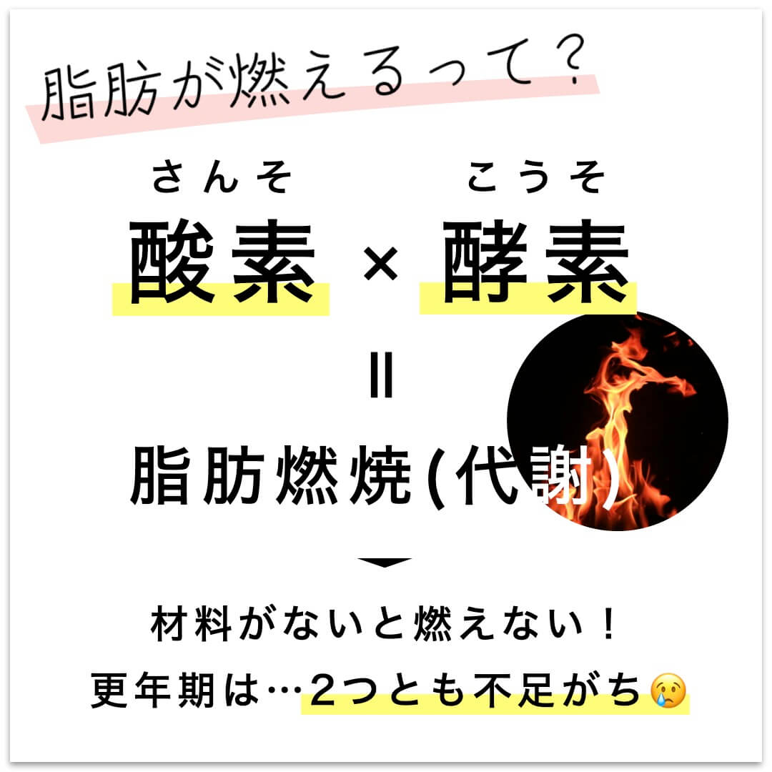 酸素×酵素＝脂肪燃焼（代謝）
