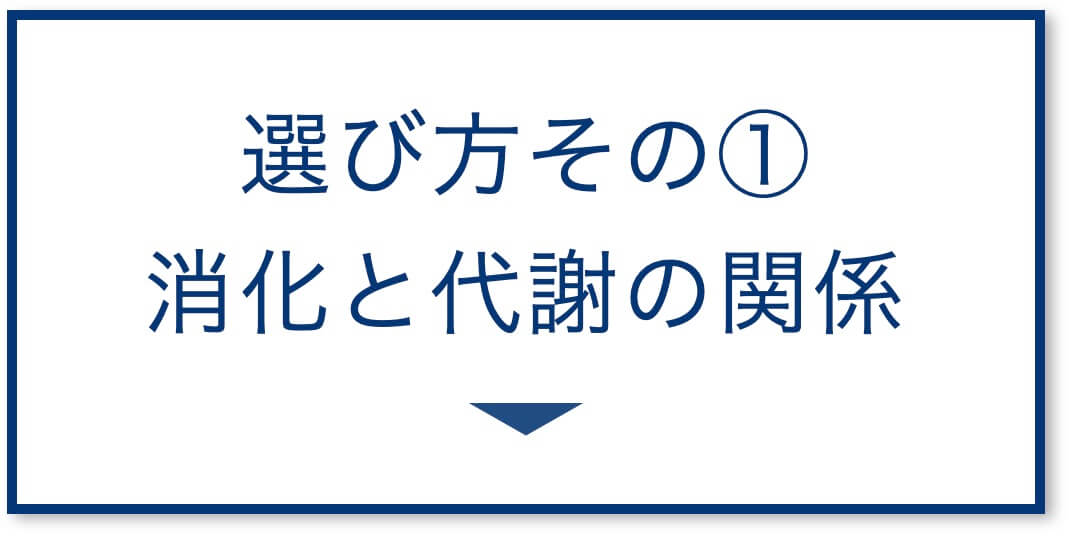 消化と代謝の関係