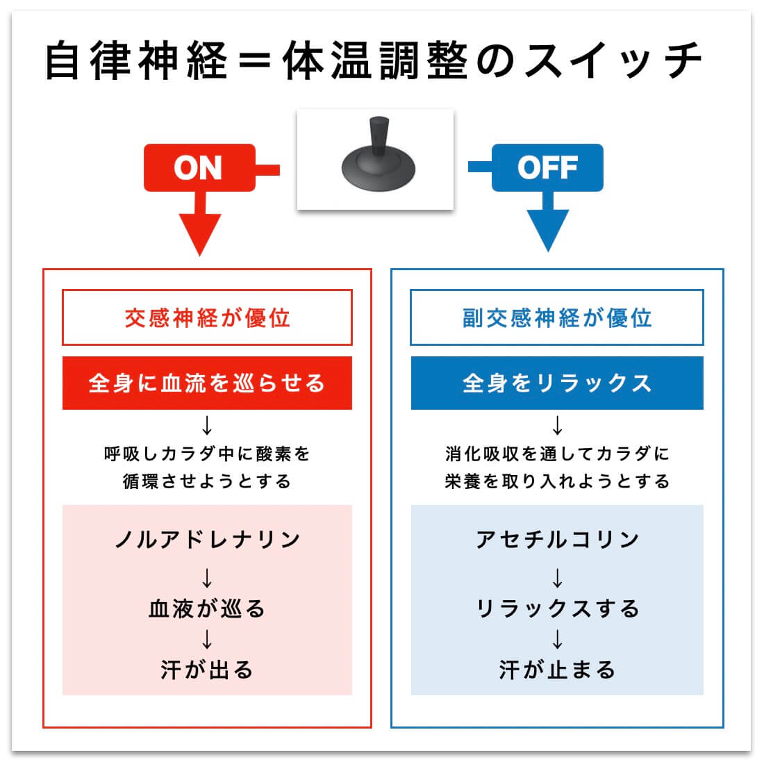 自律神経は体温調整のスイッチであることの説明