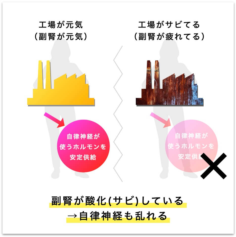 副腎が酸化して自律神経が乱れることを表す図