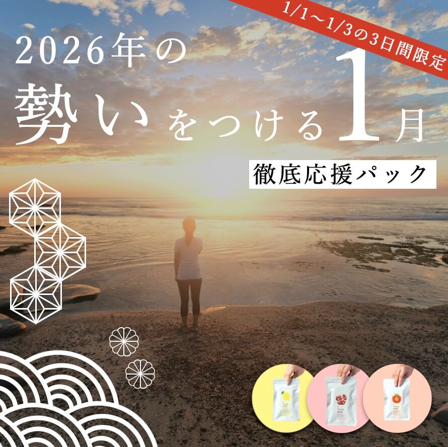 2026年の勢いをつけるてってい応援パック