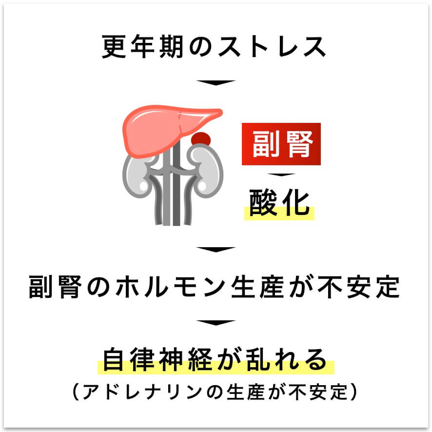 更年期のストレスは副腎を酸化させる図