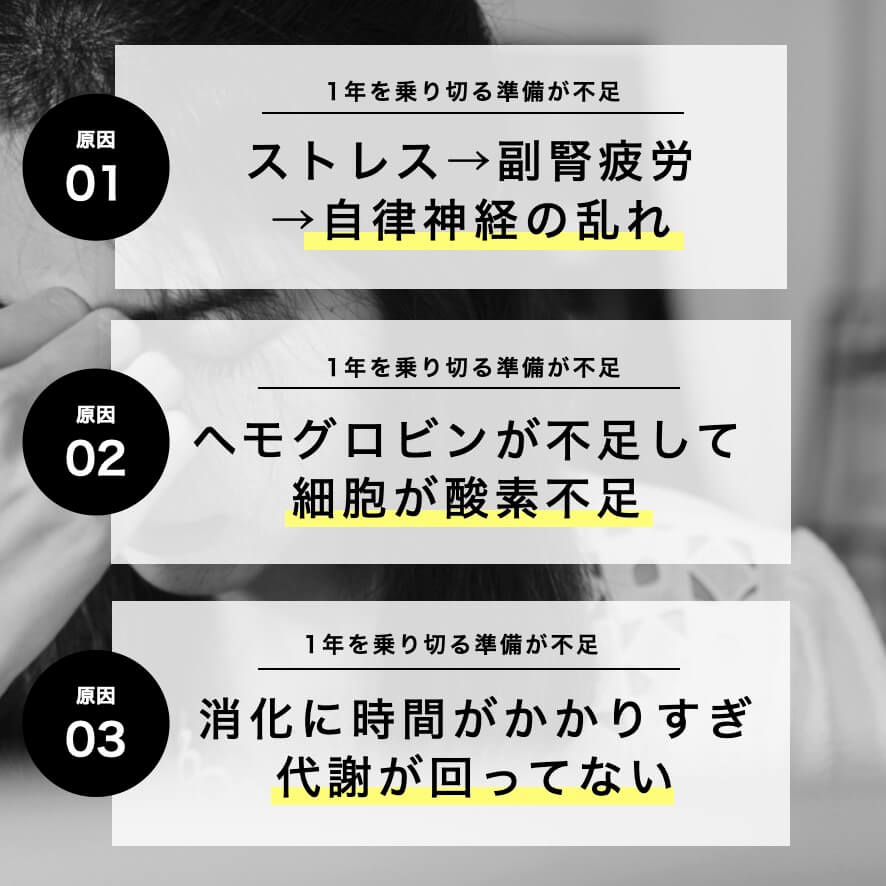 更年期に必要な1年の始まりの準備に不足しているもの