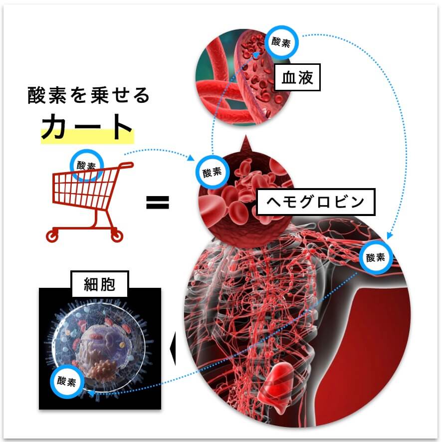 酵素が細胞に届く様子を表した図