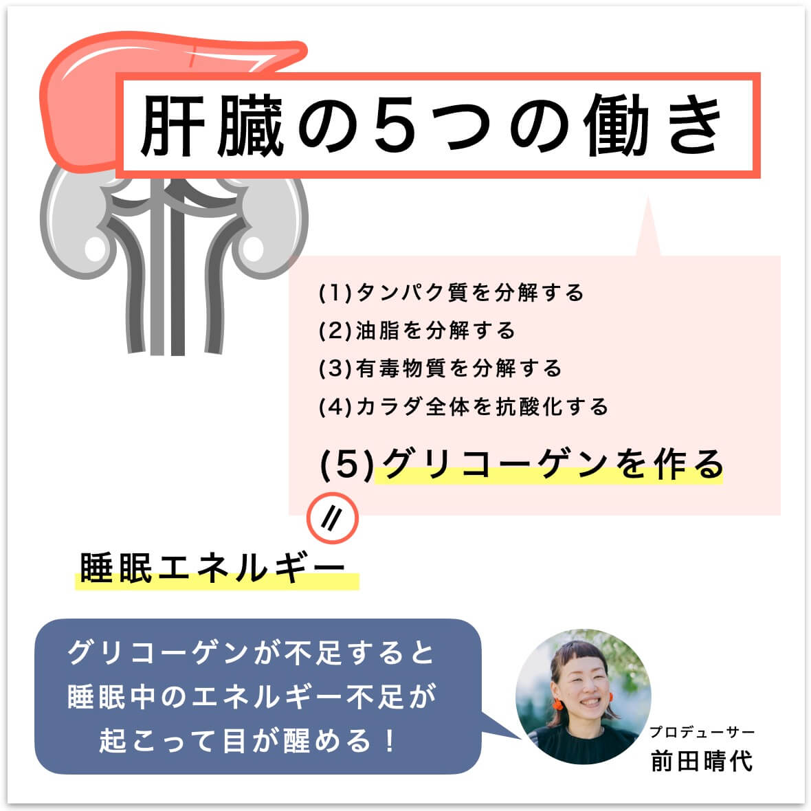 肝臓の５つの働きとグリコーゲン