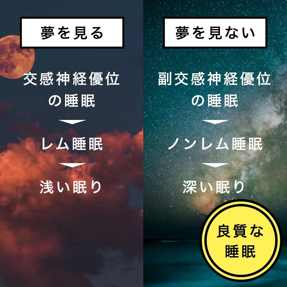 レム睡眠とノンレム睡眠